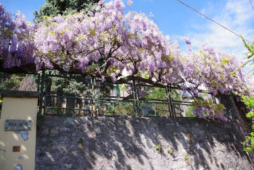 Villa Carate Urio con giardino e vista (1)