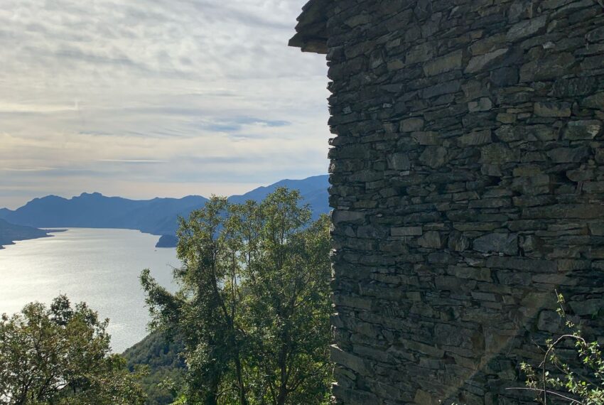 Carcente (1)