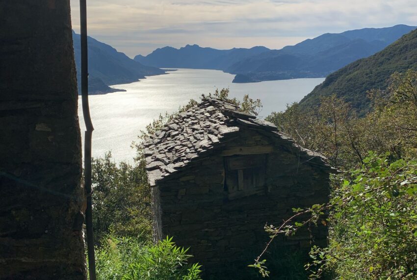 Carcente (11)