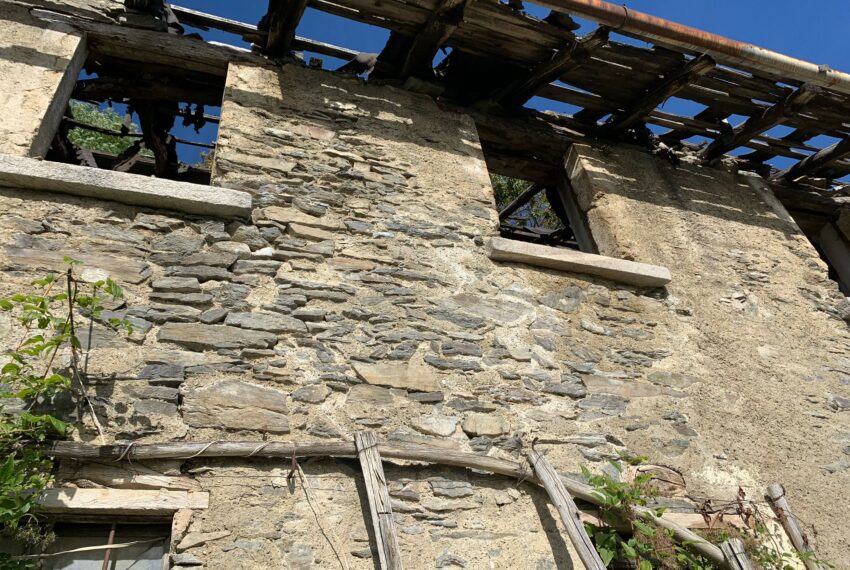 Carcente (14)