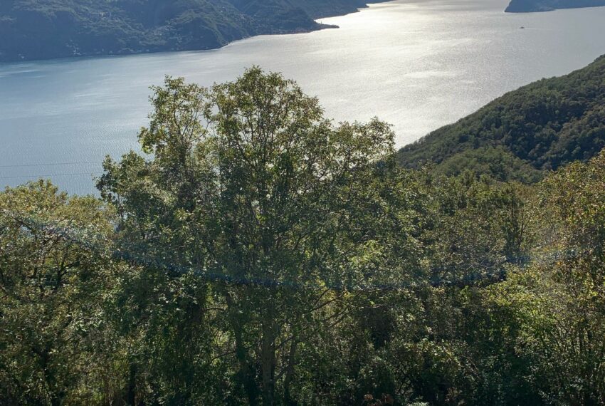 Carcente (4)