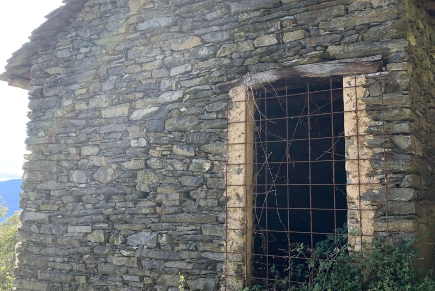 Carcente (5)