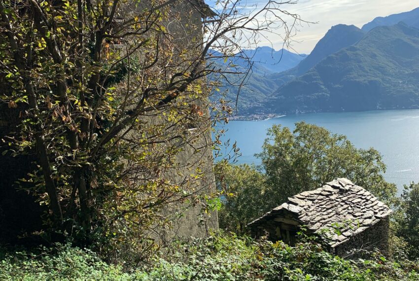 Carcente (6)