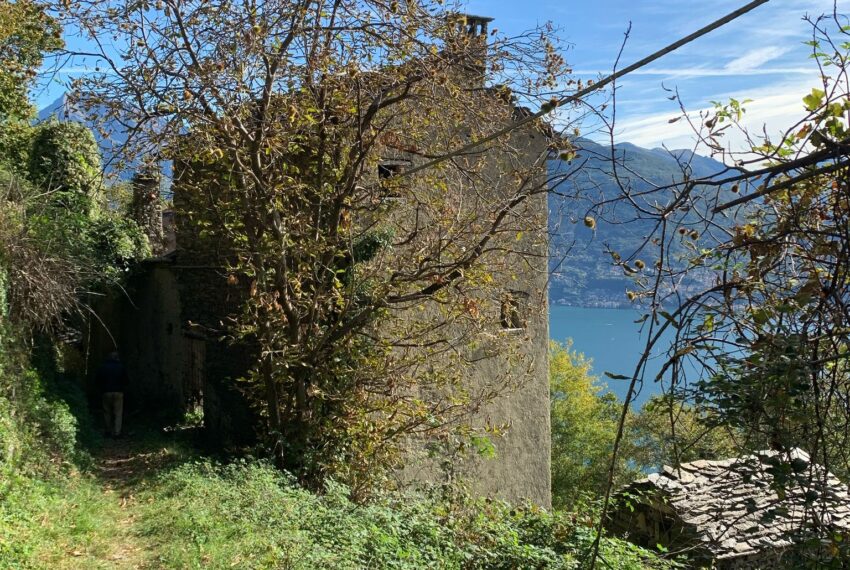 Carcente (7)