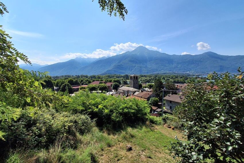 SORICO (5)