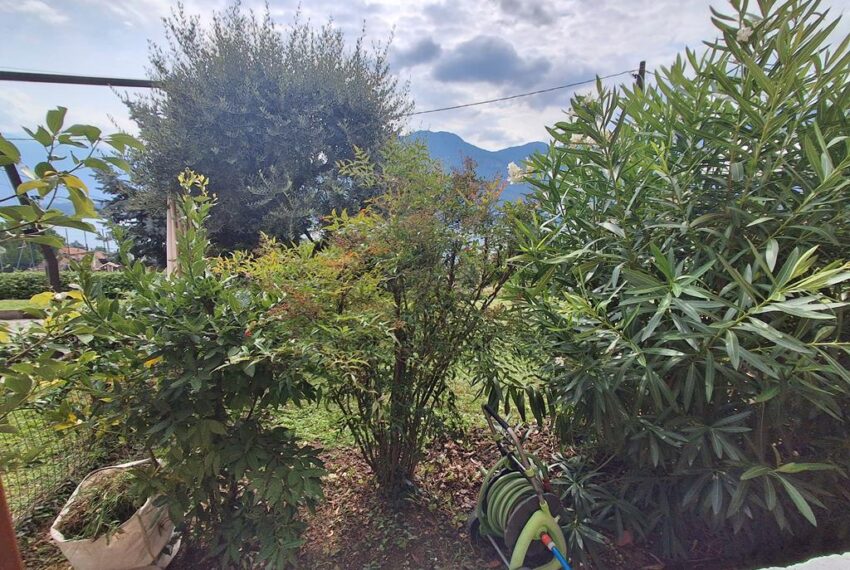 Tremezzina appartmento in vendita in residence con piscina (9)
