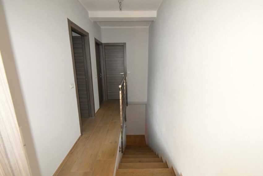 019 (Copy)