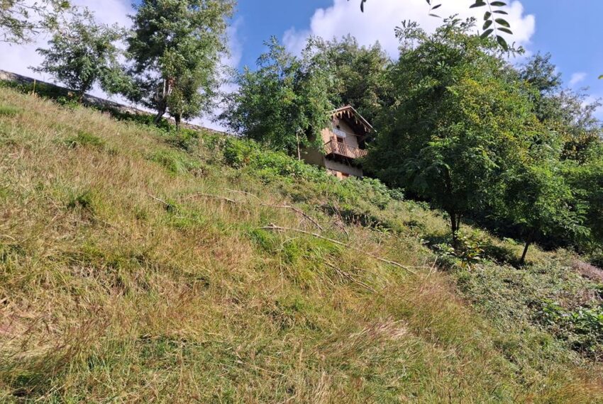 20251001_113152 (Copy)