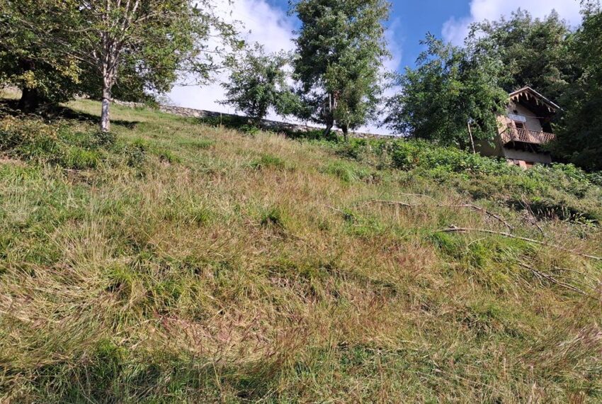 20251001_113154 (Copy)