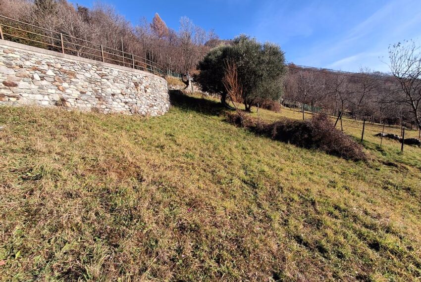 20251215_120308 (Copy)