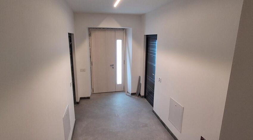 20260121_123829 (Copy)