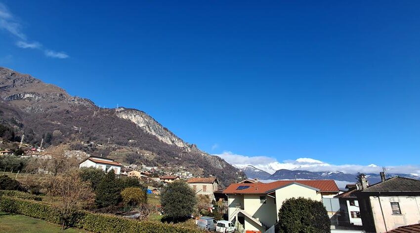 0041224-20260205_121724 (Copy)