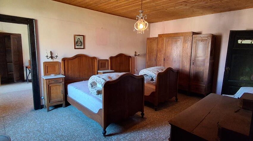 0041236-20260205_121316_Copy (Copy)