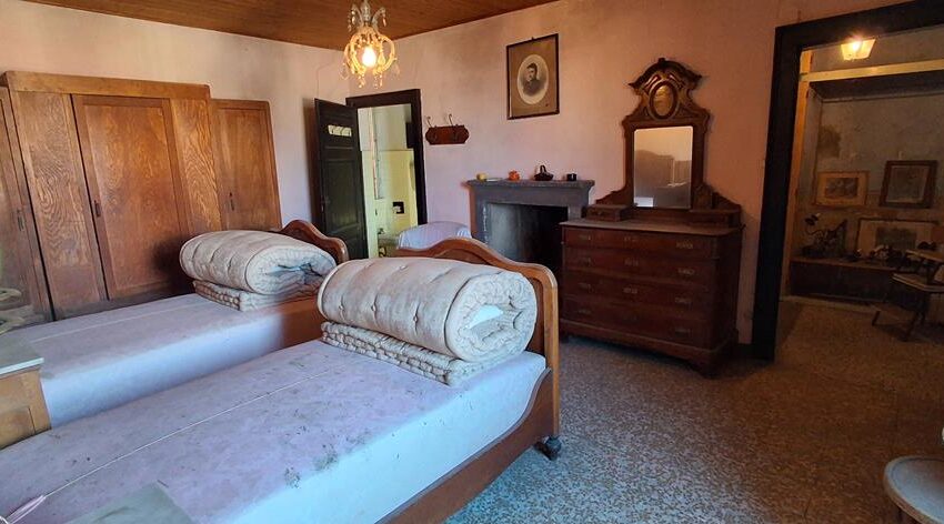 0041238-20260205_121330_Copy (Copy)