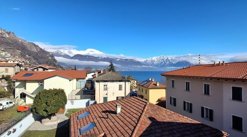 0041239-20260205_121344_Copy (Copy)