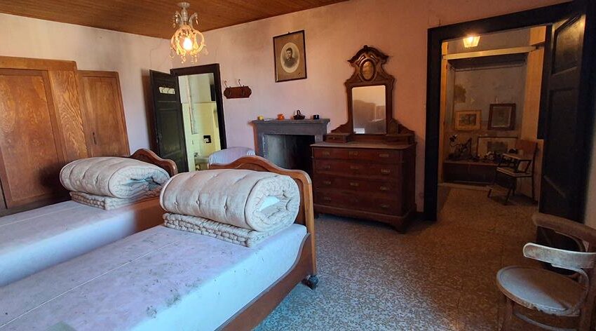 0041243-20260205_121407_Copy (Copy)