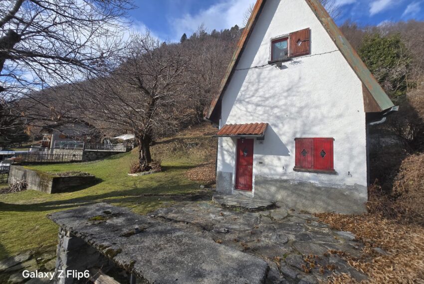 0041256-WhatsApp_Image_2026-02-12_at_16