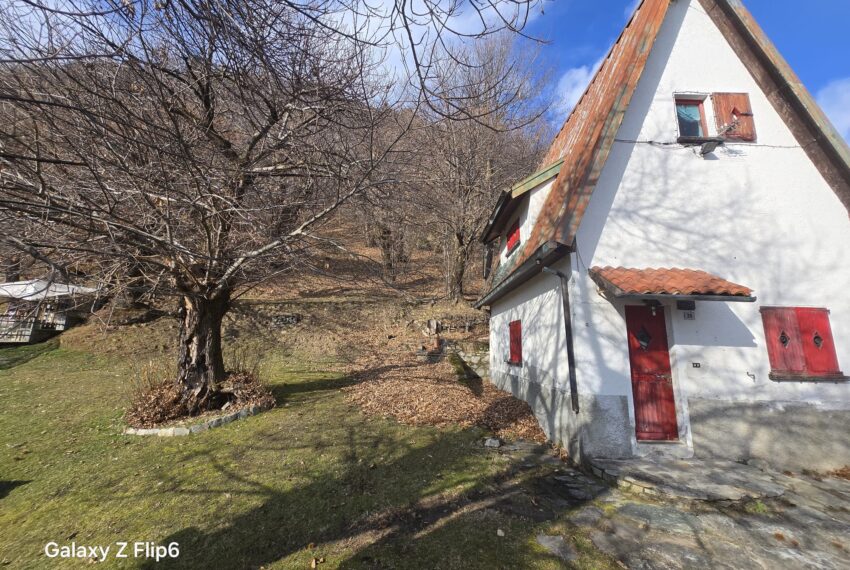 0041259-WhatsApp_Image_2026-02-12_at_16