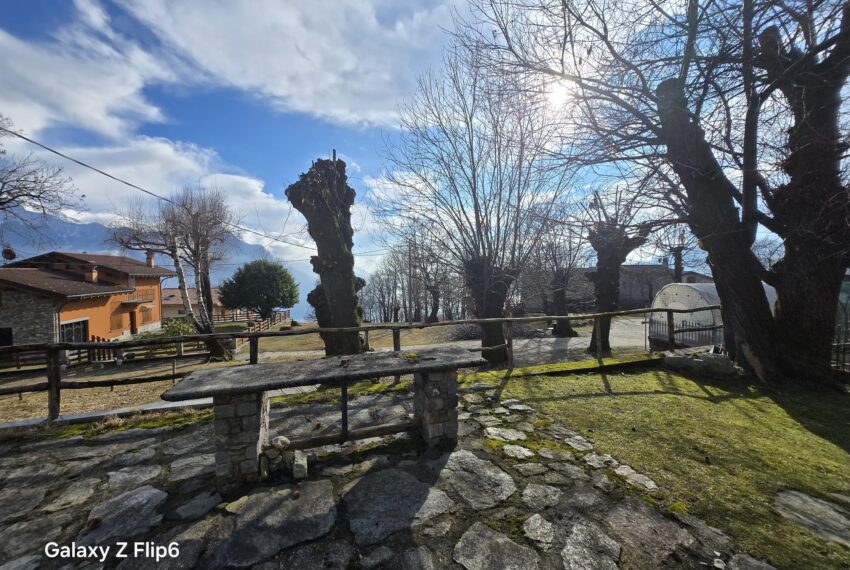 0041260-WhatsApp_Image_2026-02-12_at_16