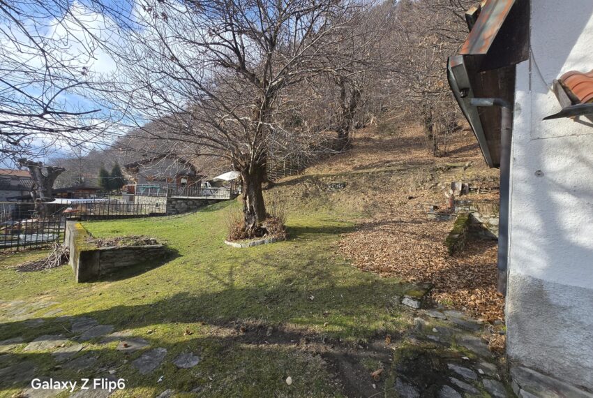 0041263-WhatsApp_Image_2026-02-12_at_16