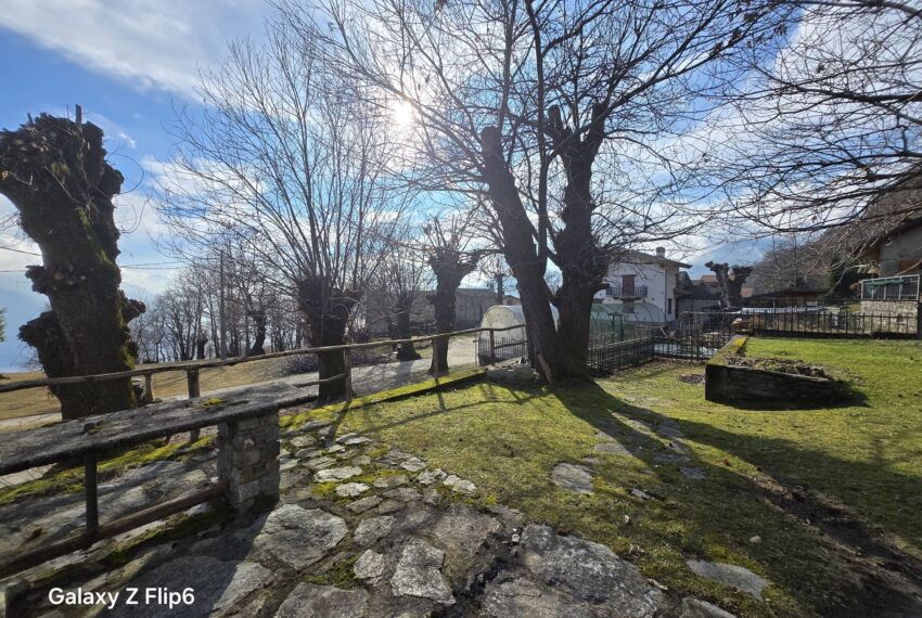 0041264-WhatsApp_Image_2026-02-12_at_16