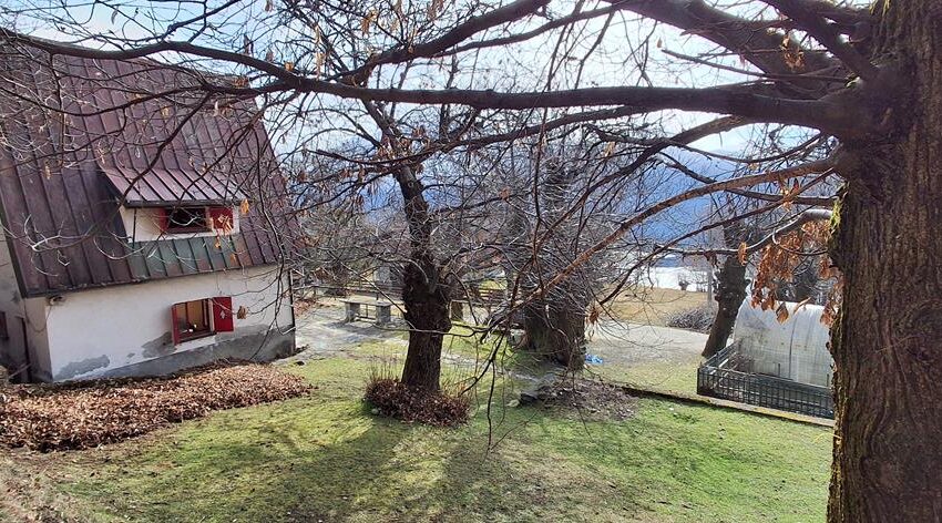 0041517-20260217_110204_Copy