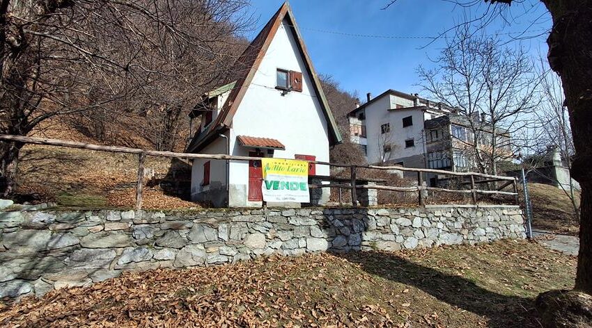 0041518-20260217_110445_Copy