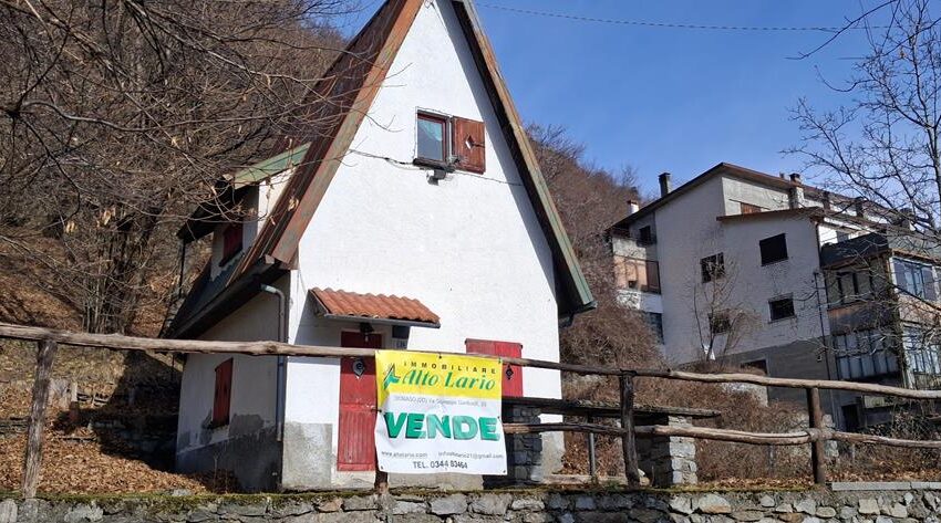 0041519-20260217_110449_Copy