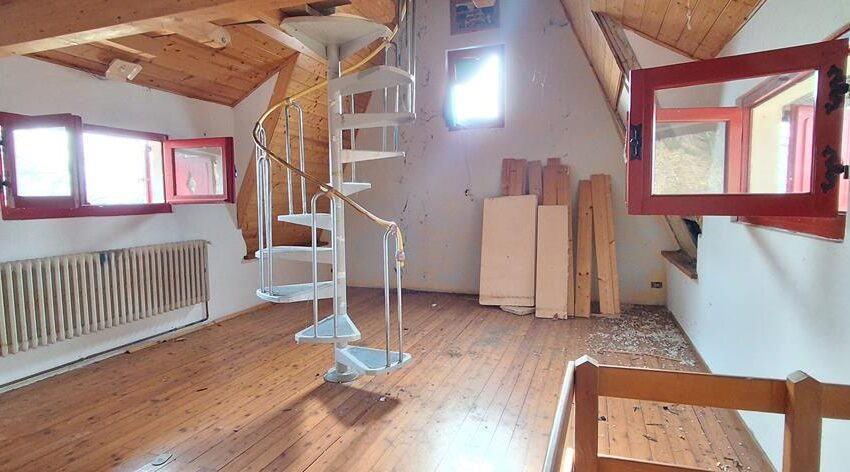 0041523-20260217_105806_Copy