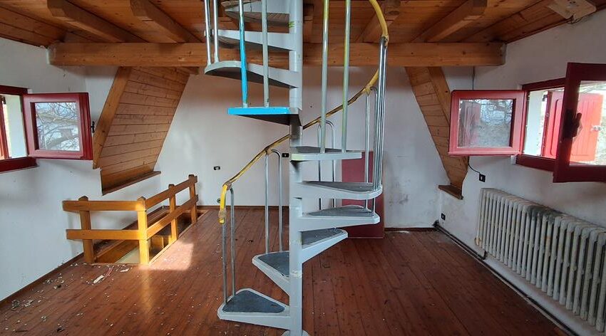 0041525-20260217_105821_Copy