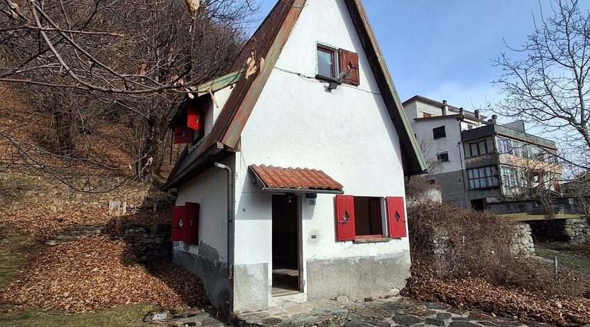 0041529-20260217_110019_Copy