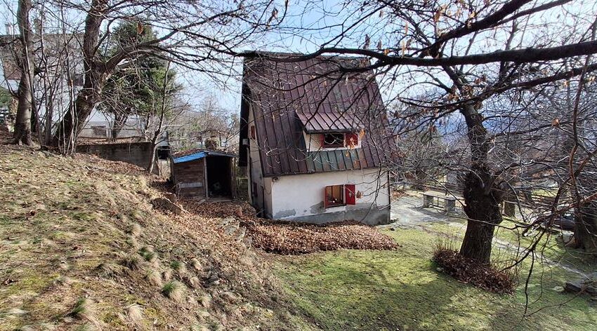 0041530-20260217_110159_Copy