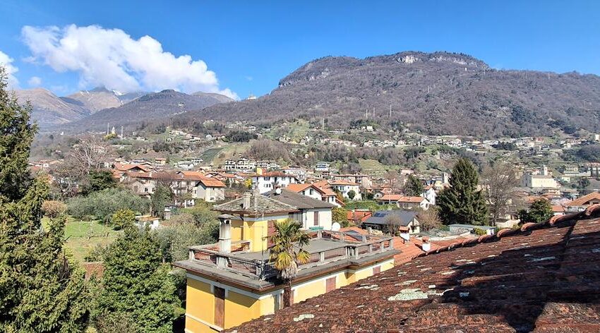 20260312_112002 (Copy)