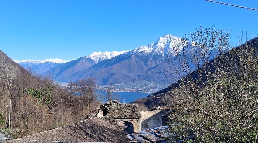 20260319_160244 (Copy)