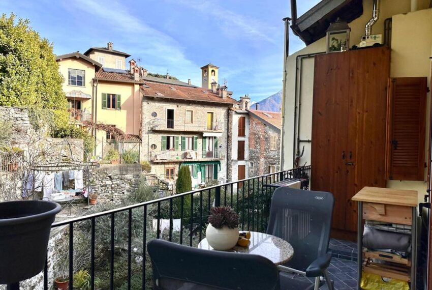 231-1771066035-xl (Copy)