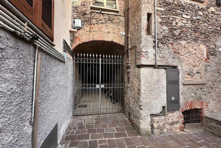 231-1771066175-xl (Copy)