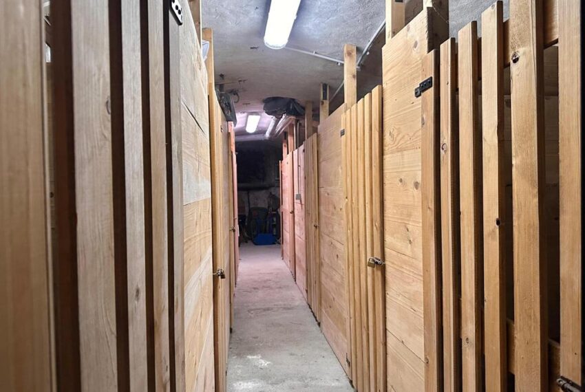 231-1771066206-xl (Copy)