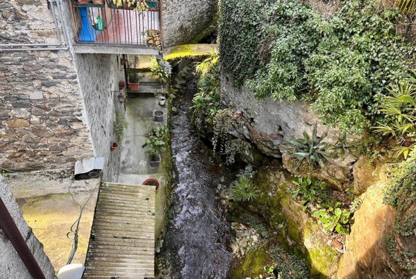 231-1771066238-xl (Copy)