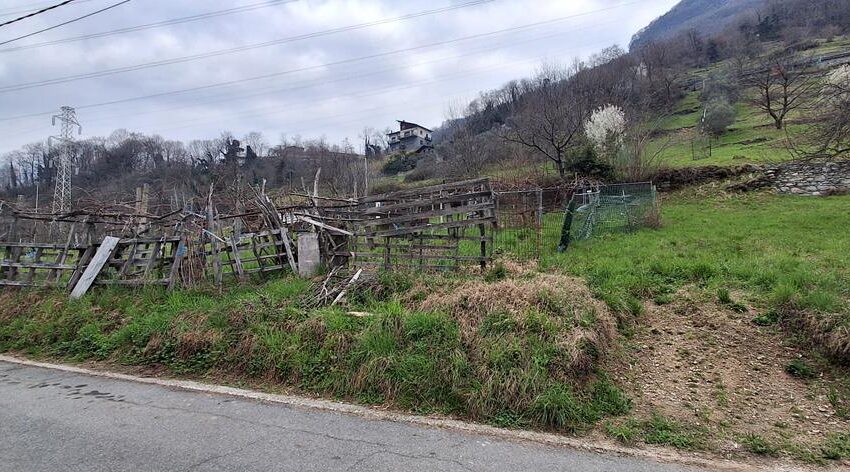 Gravedona ed Uniti - Lake Como (4)