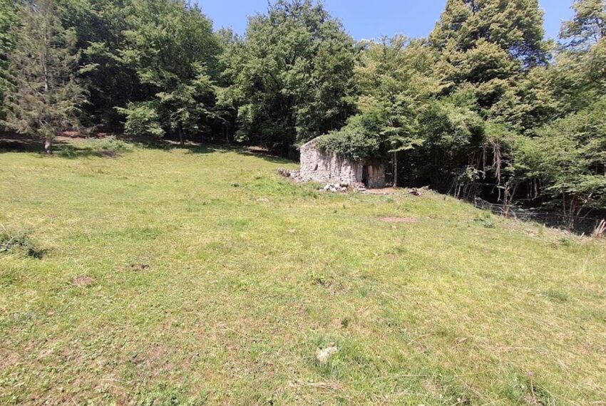 Menaggio rustico con terreno (6)